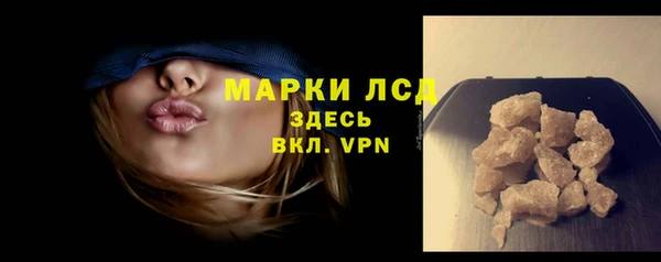 стаф Аркадак