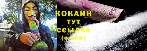стаф Аркадак