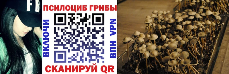 Галлюциногенные грибы мицелий  Купить  Бирюч 